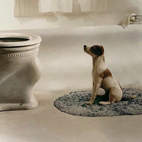 MY DOG SKIP (2000) - ORIGINAL DOUBLE SIDED MOVIE POSTER - Picture 2 of 2